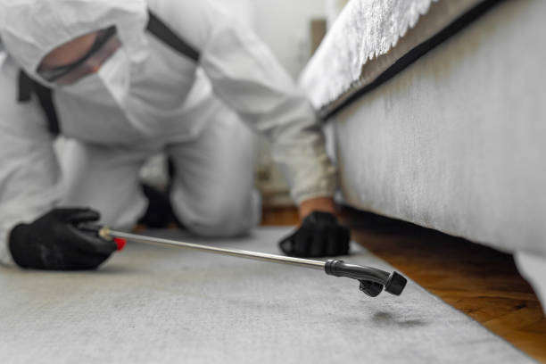 Professional Cockroach Control technician working in Rouses Point, NY